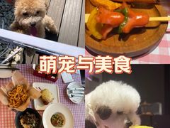 -百好乐宠物友好餐厅(朝外大街店)