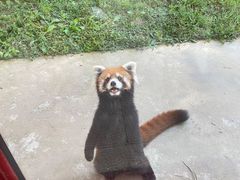-杭州野生动物世界