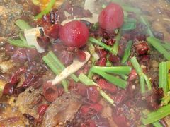 -老板恋上鱼(恒隆广场店)