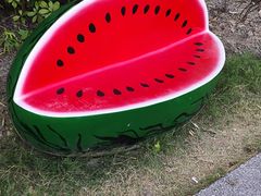 -菊园百果园