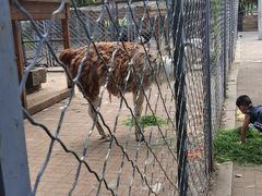 -长白岛森林公园