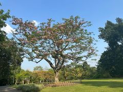 -中国科学院西双版纳热带植物园