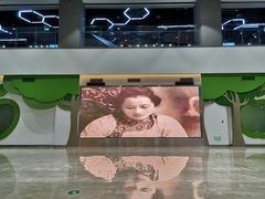 -中国宋庆龄青少年科技文化交流中心