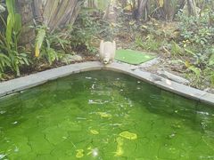 -碧桂园润杨溪谷温泉酒店