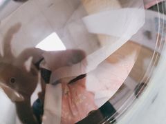 -宠福鑫康馨动物医院·骨科·眼科
