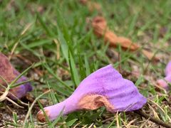 -重庆中央公园(渝北区)