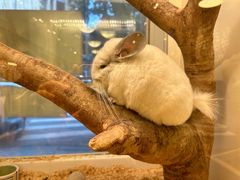 -龙猫仔乐园(惠福东路店)