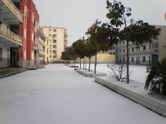 -周口市第四初级中学