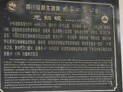 -寻龙山风景旅游区