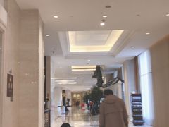 -常州武进九洲喜来登酒店