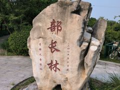 -北坞公园