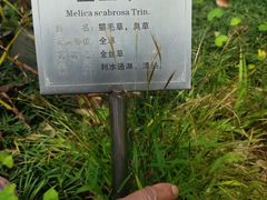 -广州神农草堂中医药博物馆