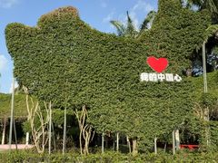 -东南花都花博园