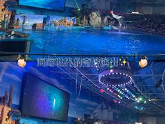 -大连老虎滩海洋公园