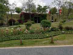 -东莞植物园