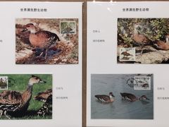 -大连自然博物馆