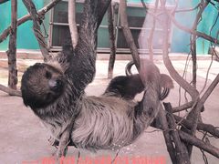 -无锡动物园·太湖欢乐园