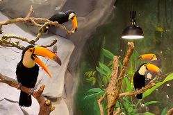 -Zoolung Zoolung动物主题公园(海信广场店)