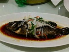 石斑鱼-小溪桥三号院子(华庄店)