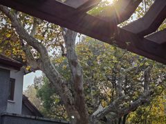 -上海孙中山故居纪念馆