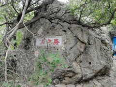 -阳台山自然风景区