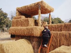 -嬉乐湾休闲旅游区