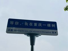 -南山植物园