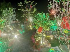 -花溪雨·森林餐厅(石基店)
