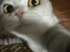 -美罗城