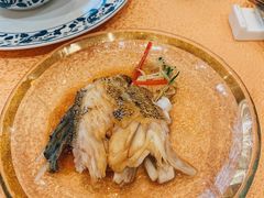 -京华世纪酒店·潮苑大酒楼(益华百货店)
