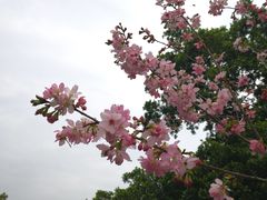 -乌山风景区