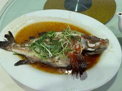 -悉尼歌剧院