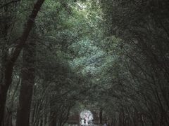 -灵谷景区