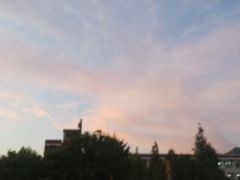 -山东外贸职业学院