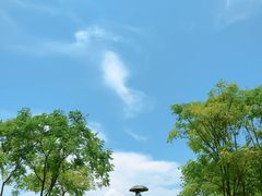 -良渚古城遗址公园
