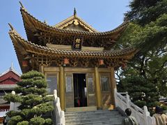 -上海东林寺(金山区)