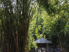 -火炉山森林公园