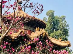 -故宫博物院(故宫)