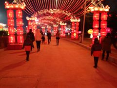 -沈阳奥体冰雪嘉年华