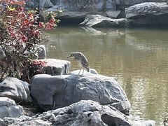 -狼山风景名胜区