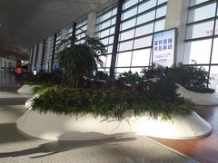 -郑州新郑国际机场
