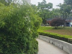 -长田漾湿地公园
