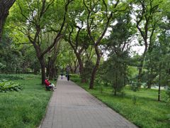 -玲珑塔公园