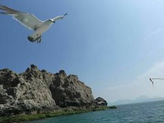 -海驴岛(荣成市)