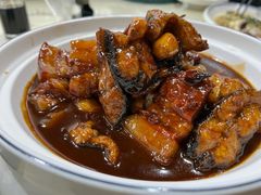 红烧肉鳗鱼-张鸟园农家乐(张鸟园店)