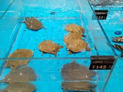 -艳阳天·非遗楚菜(武汉客厅店)