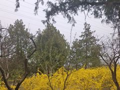 -白水寺森林公园
