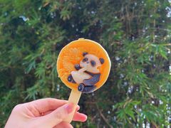 -成都大熊猫繁育研究基地
