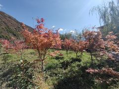 -叠溪松坪沟景区