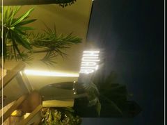 -HUATA 'Holiday Plan 花榻